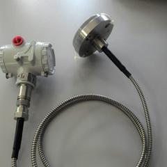 Датчик давления Агат-100МТ с разделительной мембраной 4